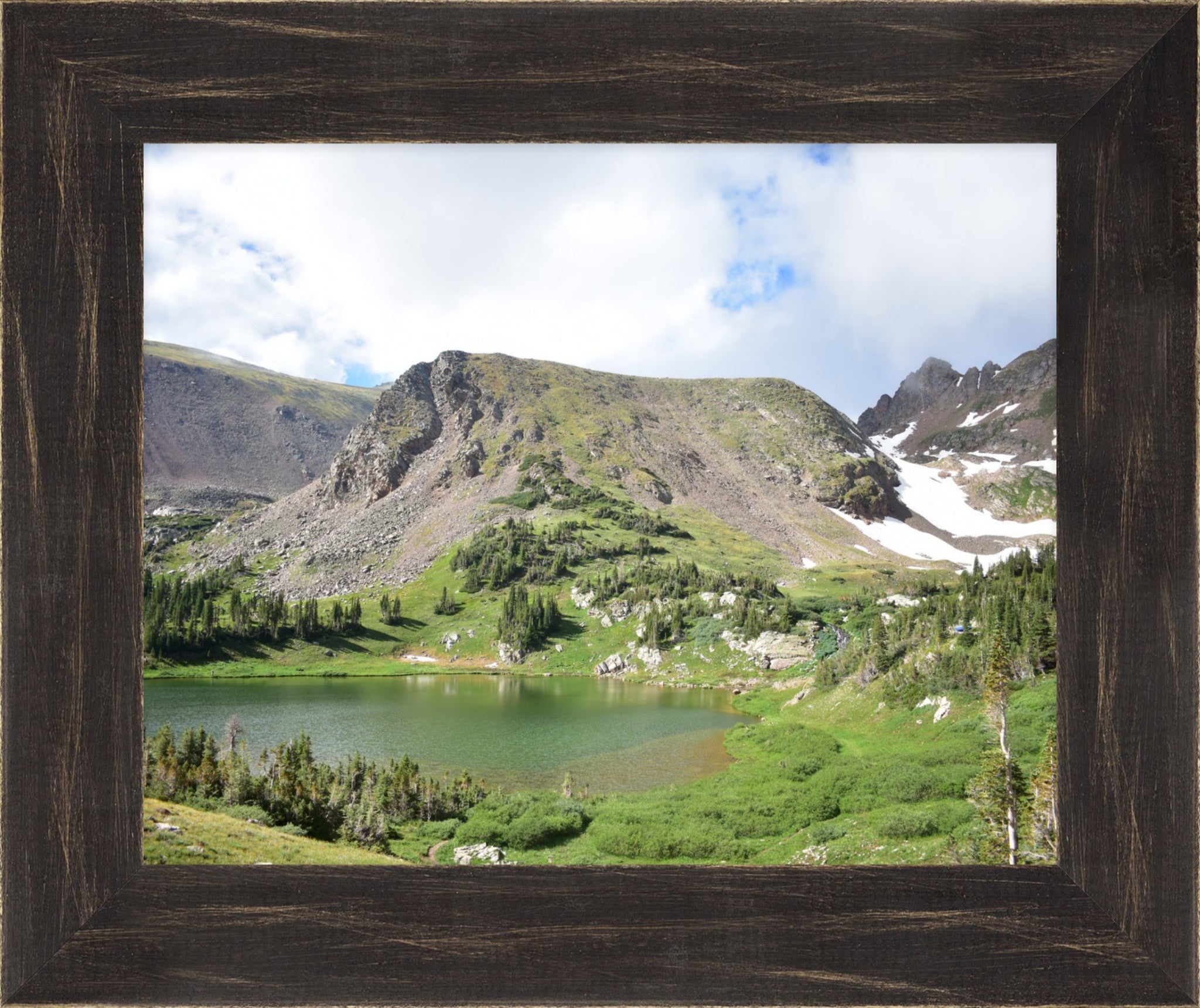 Treeline Tranquility: Rogers Peak Lake