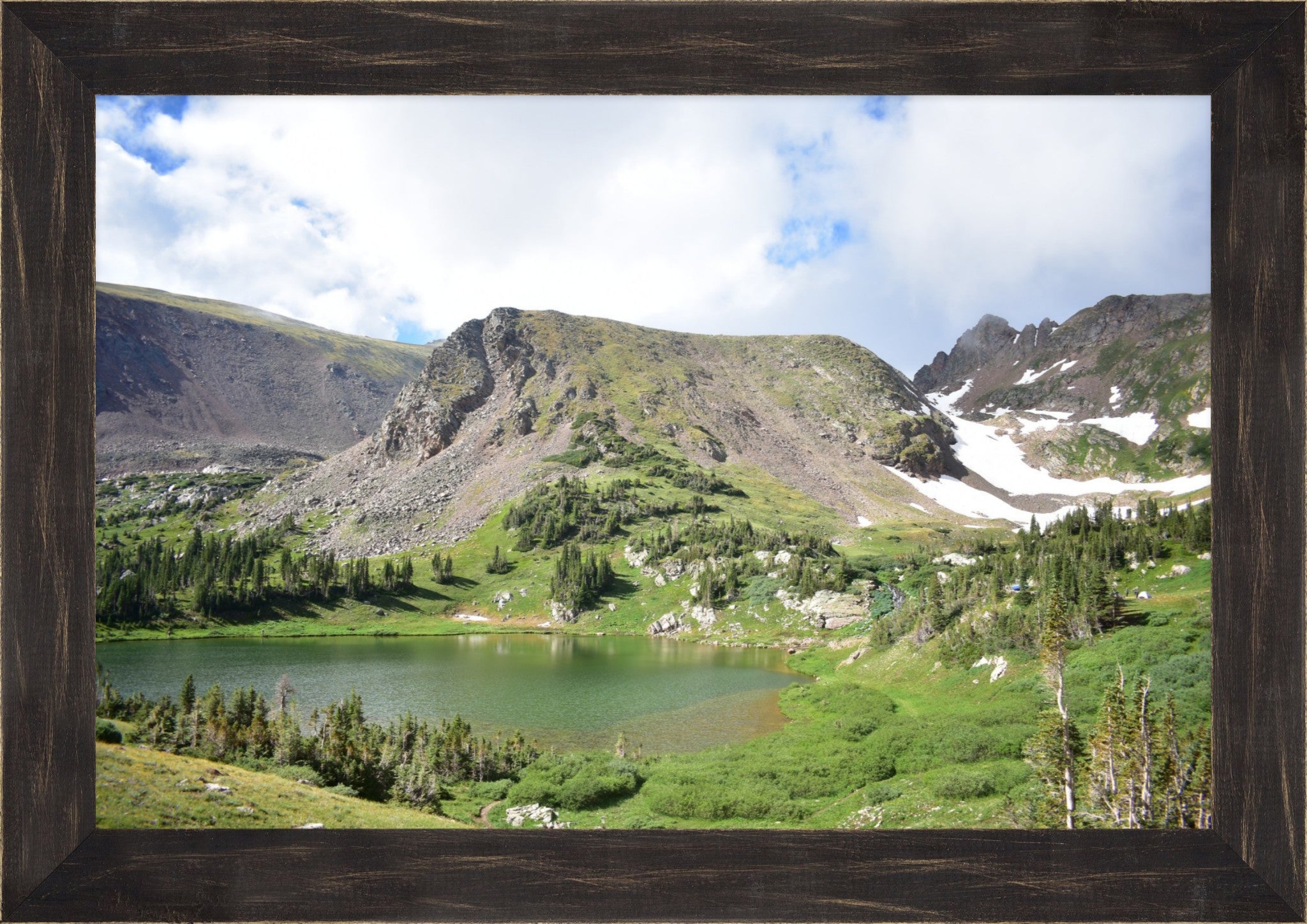 Treeline Tranquility: Rogers Peak Lake
