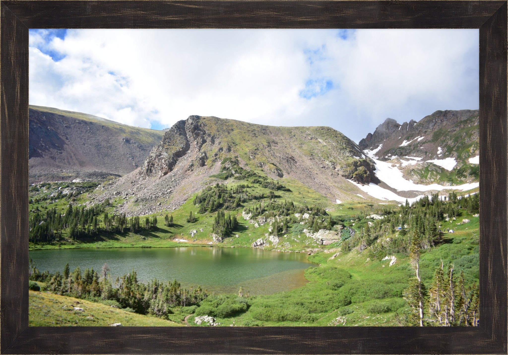 Treeline Tranquility: Rogers Peak Lake