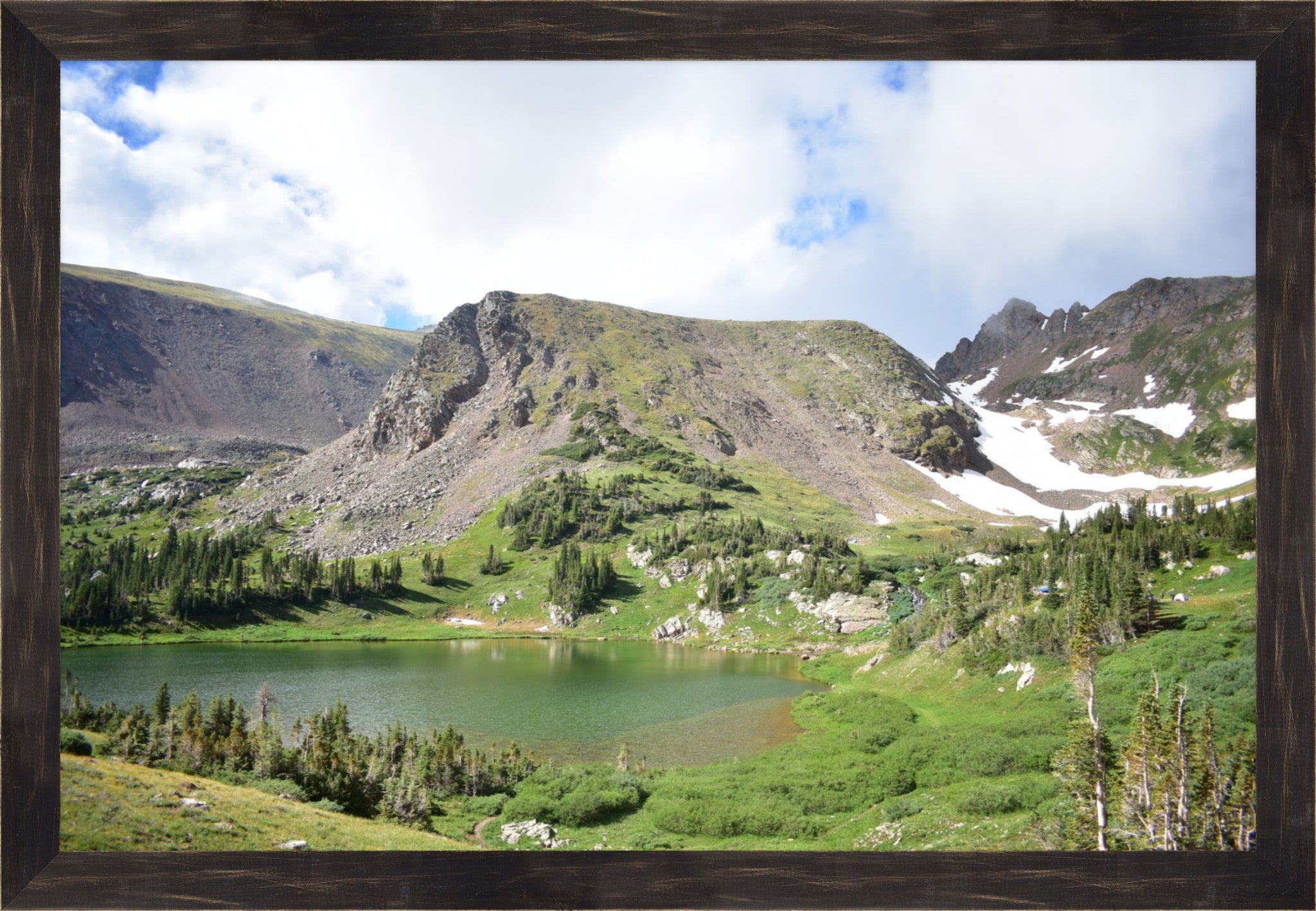 Treeline Tranquility: Rogers Peak Lake